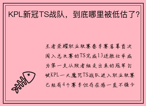 KPL新冠TS战队，到底哪里被低估了？