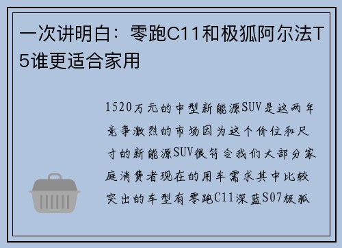 一次讲明白：零跑C11和极狐阿尔法T5谁更适合家用