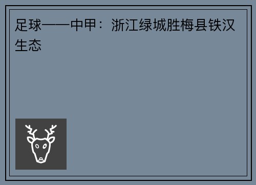 足球——中甲：浙江绿城胜梅县铁汉生态